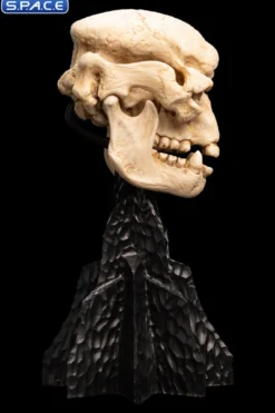 Skull of a Cave Troll