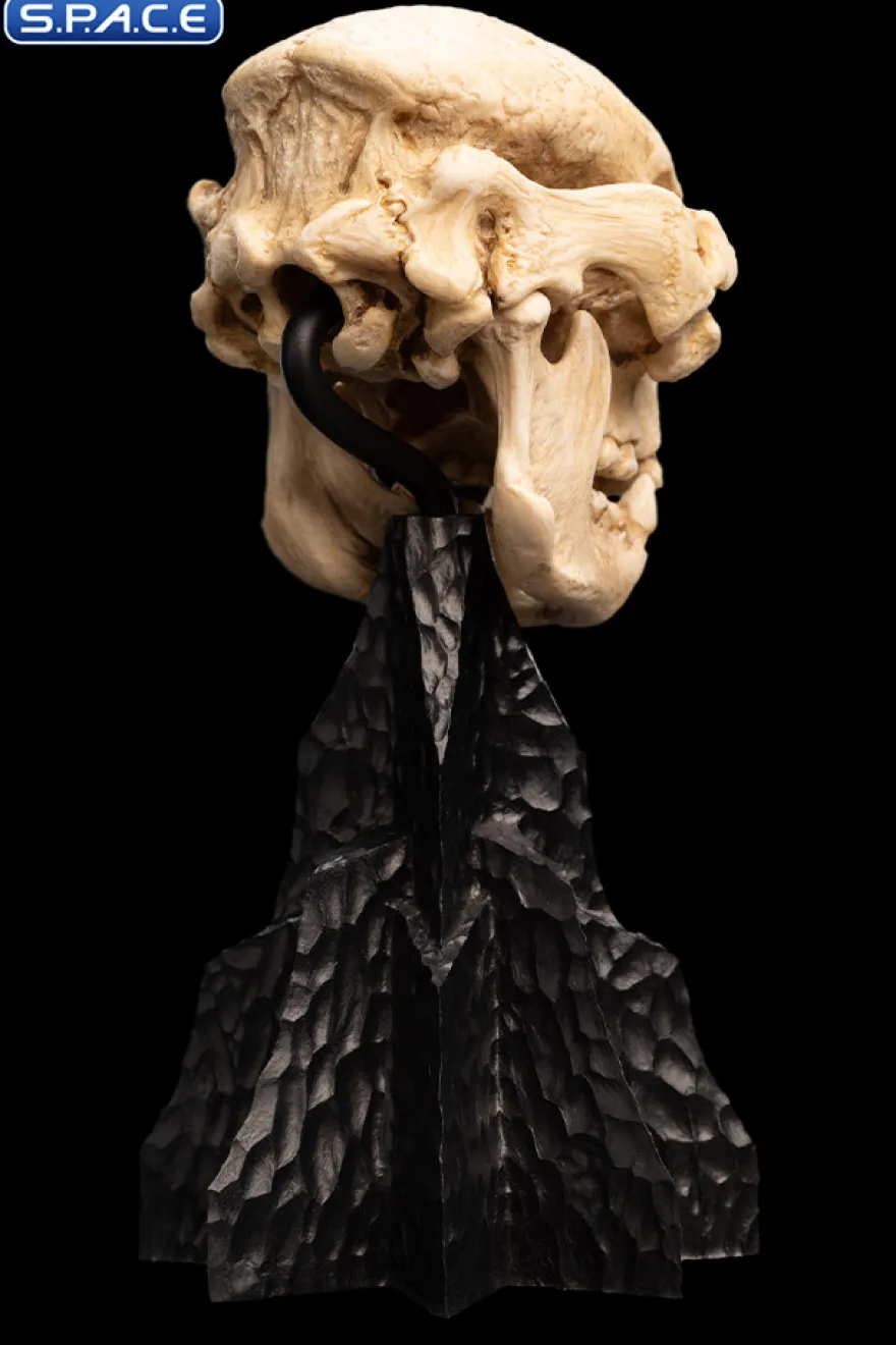 Skull of a Cave Troll