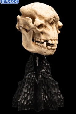 Skull of a Cave Troll