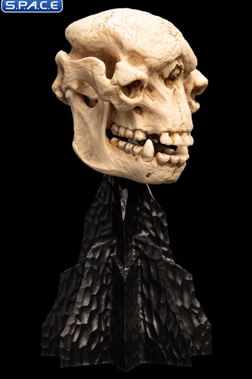 Skull of a Cave Troll