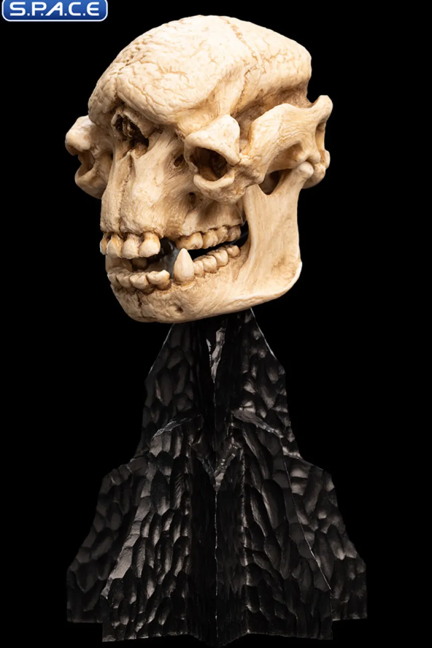 Skull of a Cave Troll