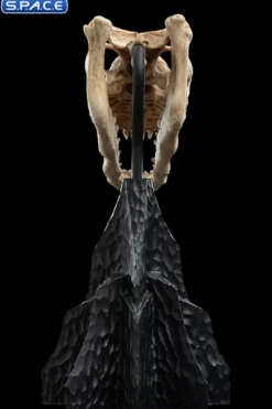 Skull of a Fell Beast