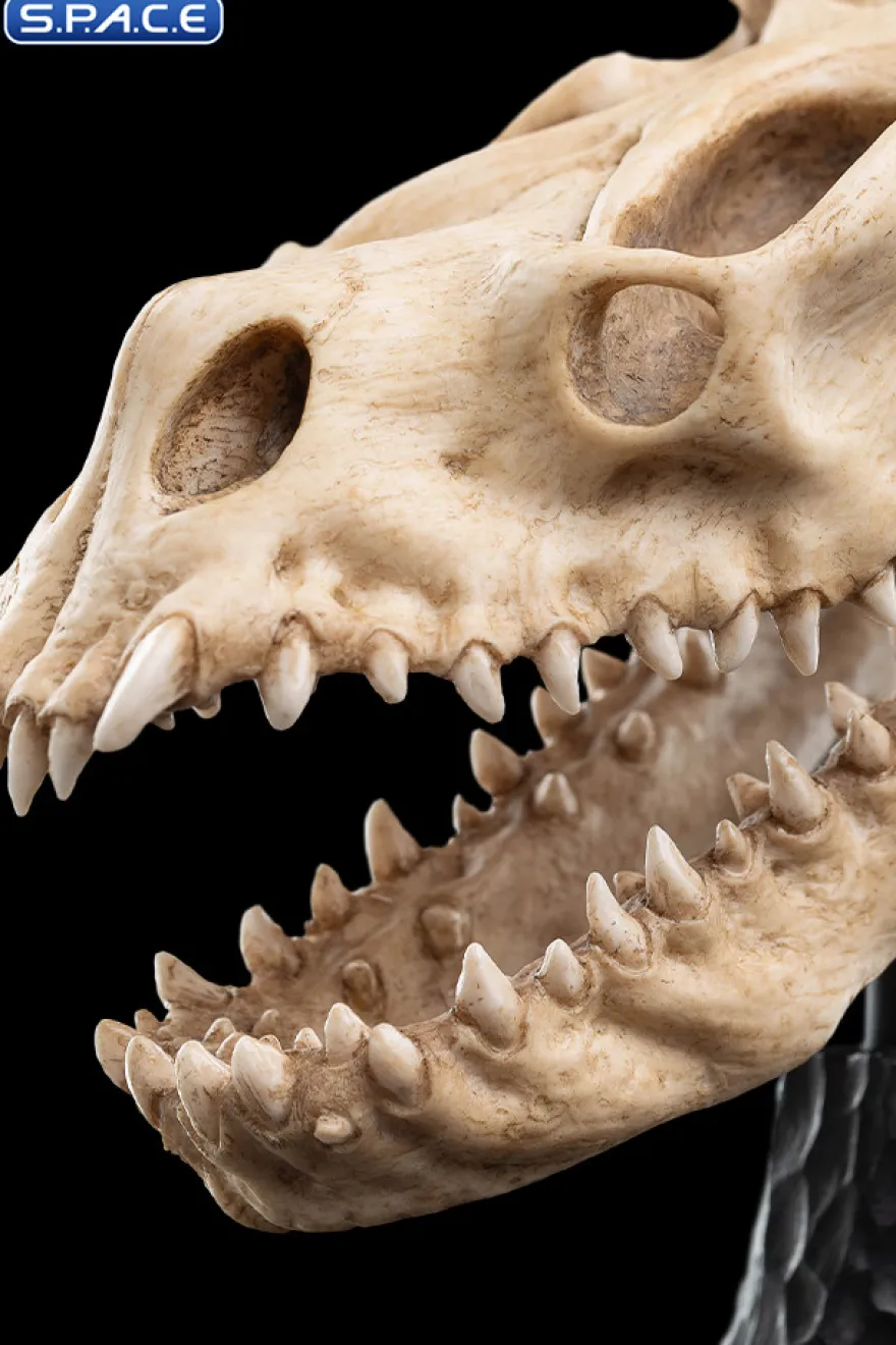 Skull of a Fell Beast