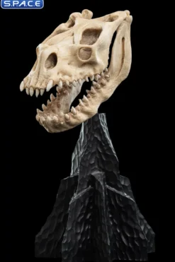 Skull of a Fell Beast