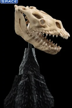 Skull of a Fell Beast