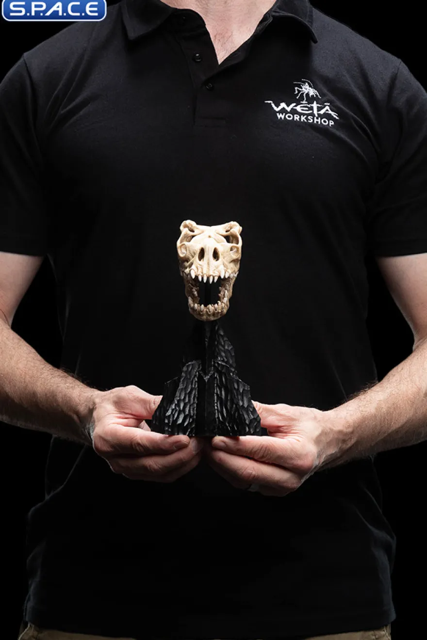 Skull of a Fell Beast