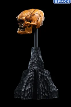 Skull of a Misty Mountain Goblin