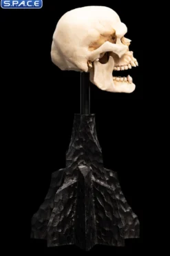 Skull of a Mordor Orc
