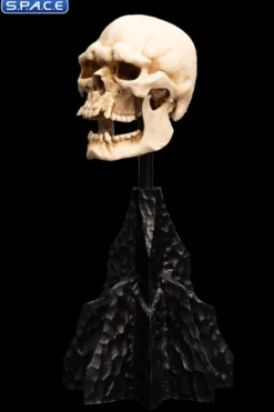 Skull of a Mordor Orc
