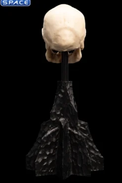 Skull of a Mordor Orc
