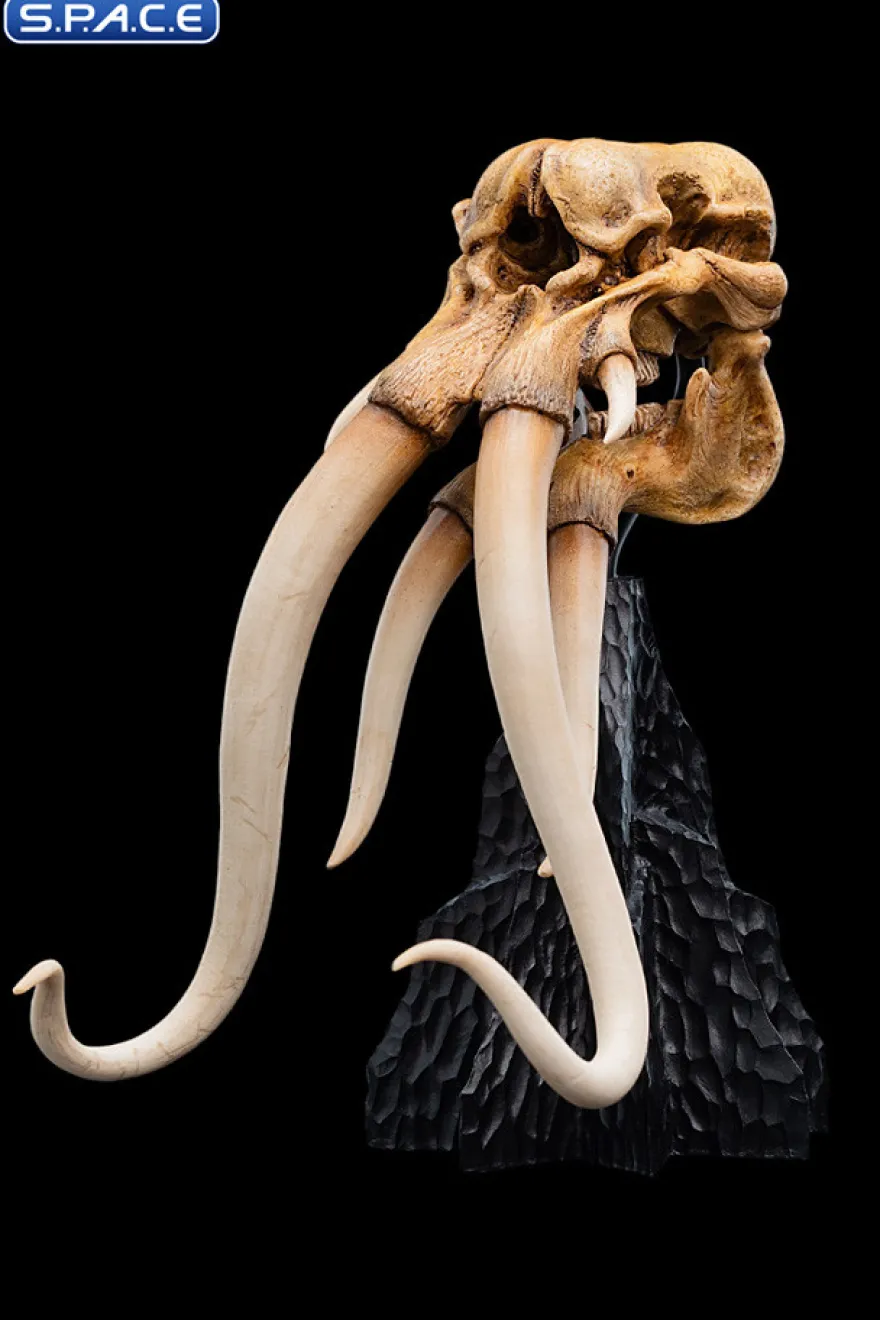 Skull of a Mumak