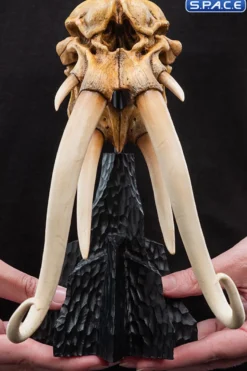 Skull of a Mumak