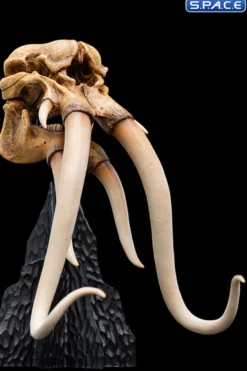 Skull of a Mumak