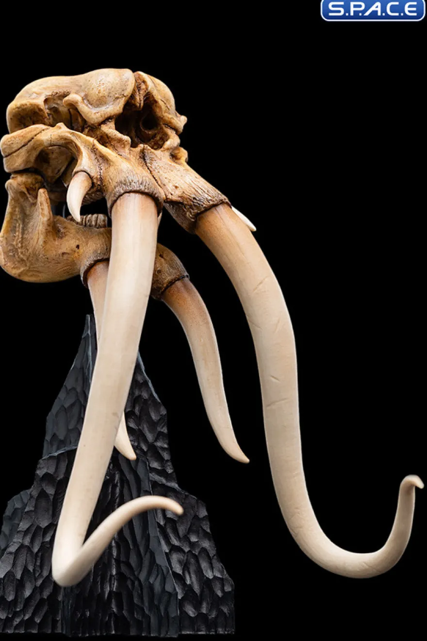 Skull of a Mumak