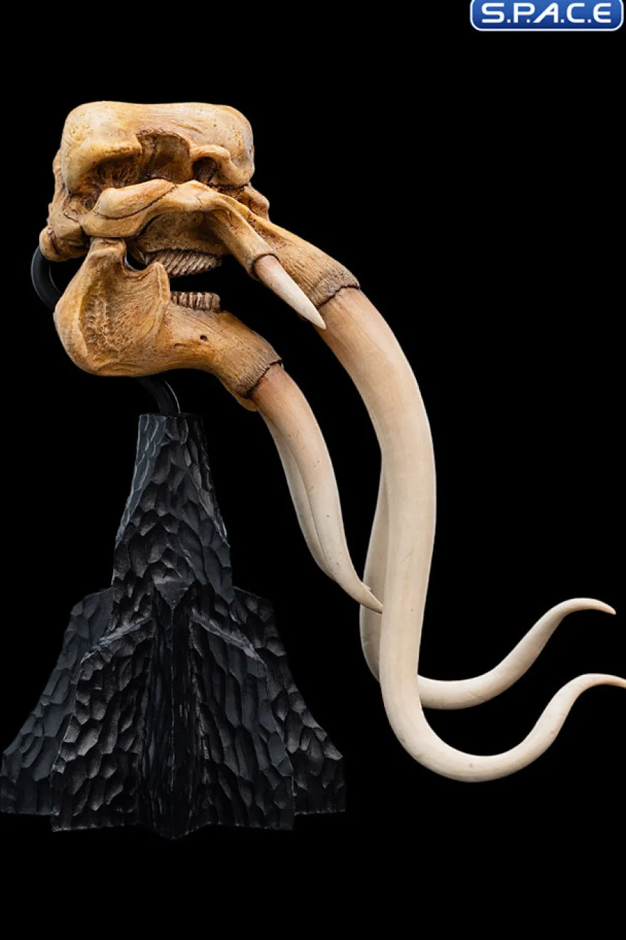 Skull of a Mumak