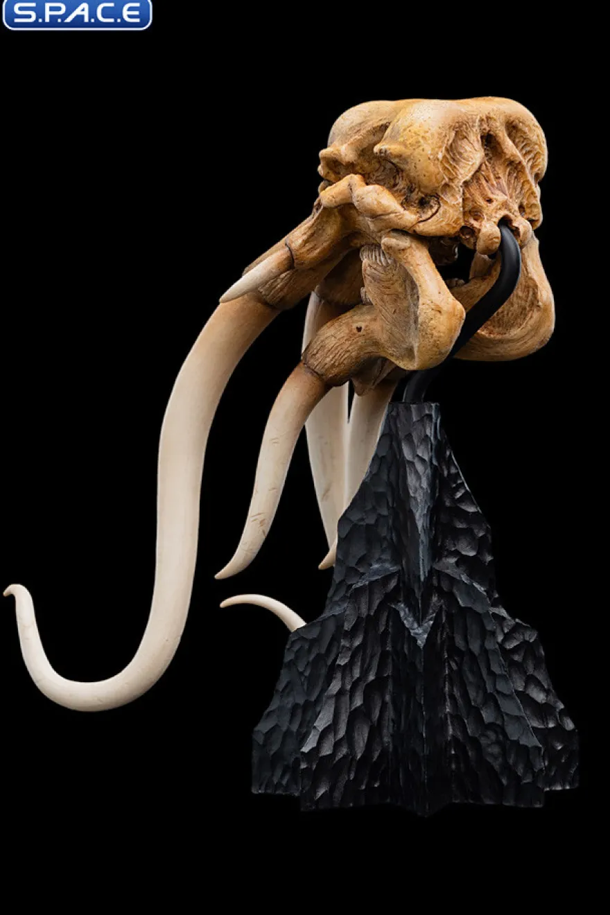 Skull of a Mumak