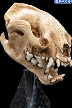 Skull of a Warg