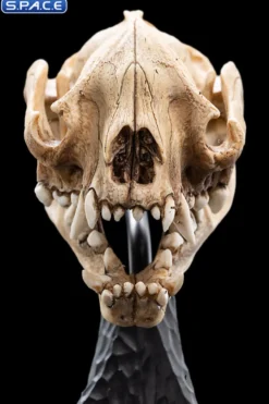 Skull of a Warg