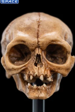 Skull of Gollum