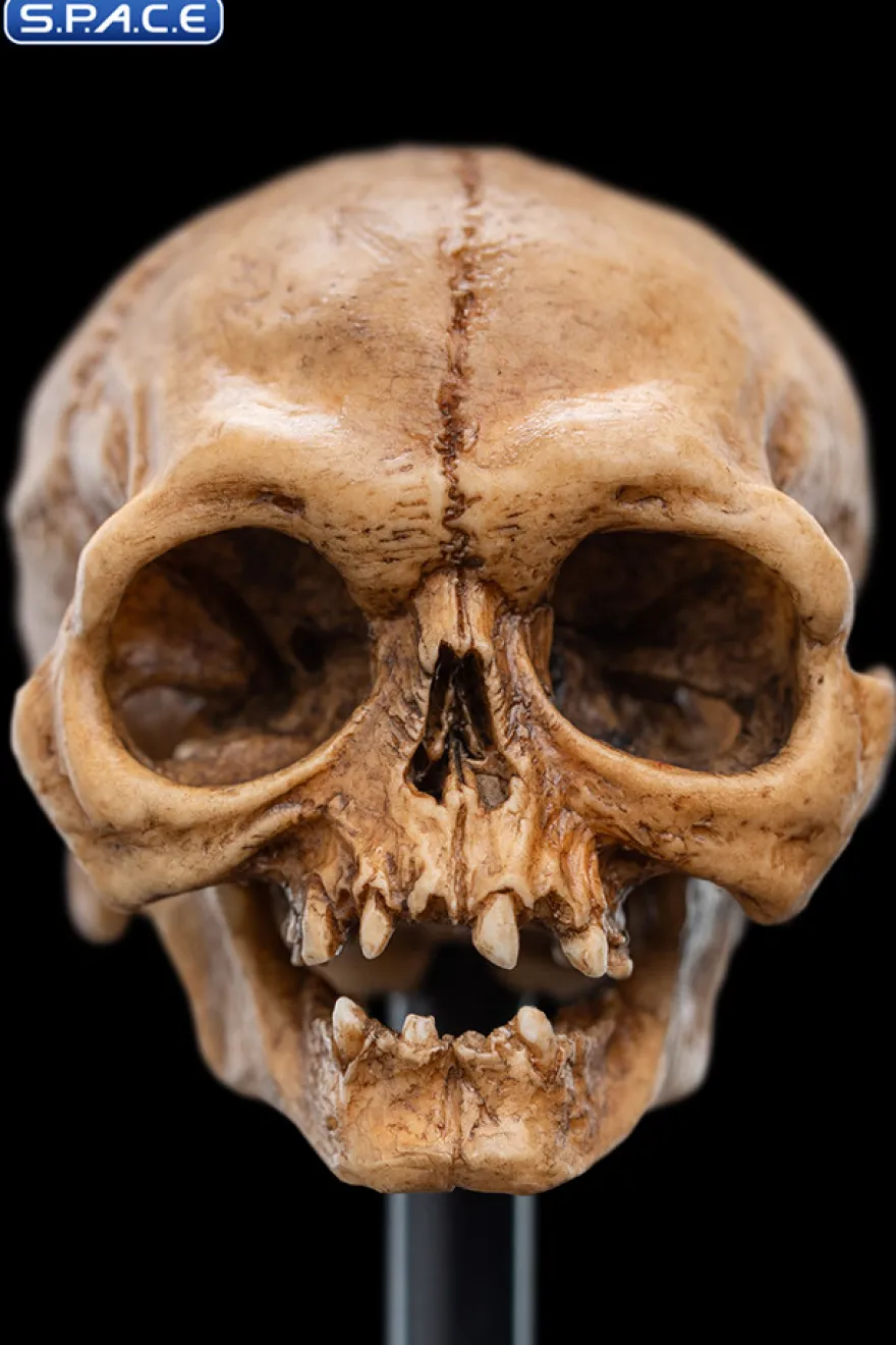 Skull of Gollum