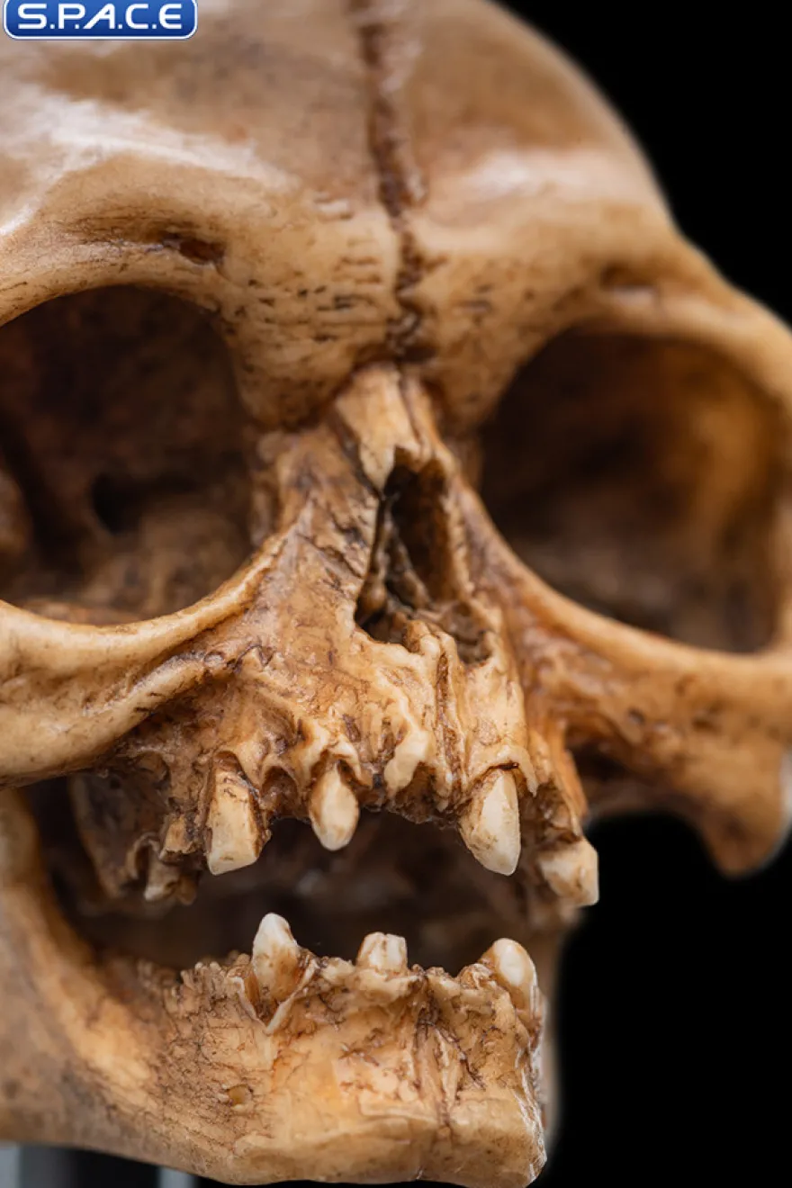 Skull of Gollum