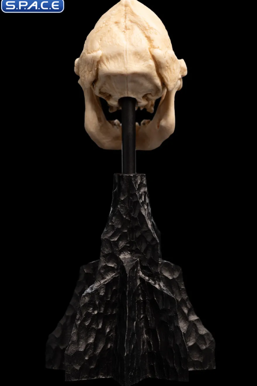 Skull of Lurtz
