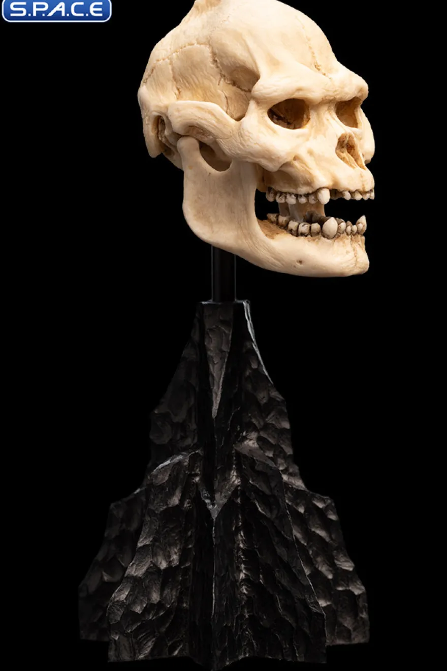 Skull of Lurtz