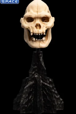 Skull of Lurtz