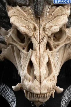 Skull of Smaug