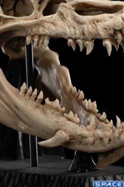 Skull of Smaug