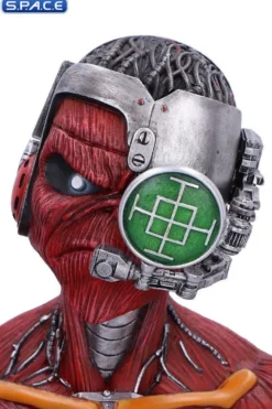 Somewhere in Time Bust