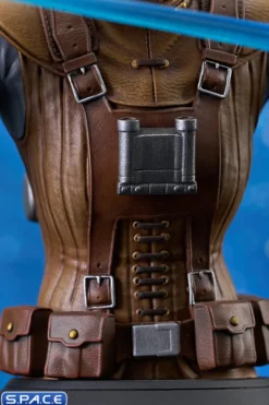 Starkiller Hero Concept Bust