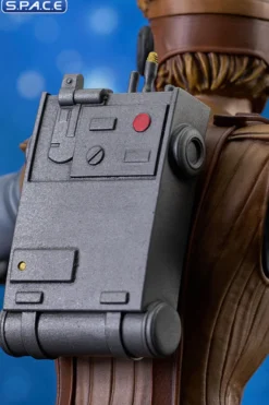 Starkiller Hero Concept Bust