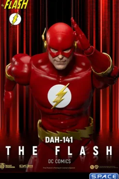 The Flash Dynamic Action Heroes