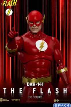 The Flash Dynamic Action Heroes