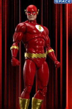 The Flash Dynamic Action Heroes