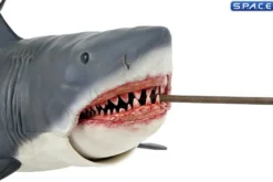 The Game of Jaws