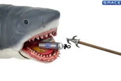 The Game of Jaws
