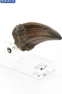 T-Rex Hand Claw Prop Replica