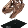 T-Rex Skull Scaled Replica