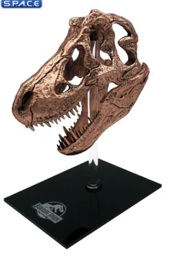 T-Rex Skull Scaled Replica