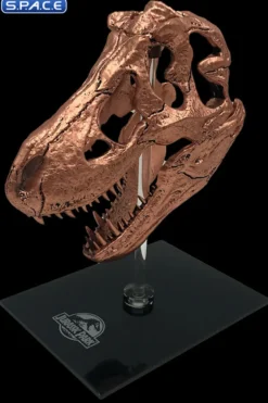 T-Rex Skull Scaled Replica