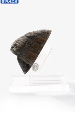 Triceratops Toenail Prop Replica