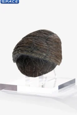 Triceratops Toenail Prop Replica