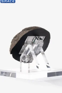 Triceratops Toenail Prop Replica