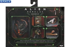 Ultimate Accessory Pack