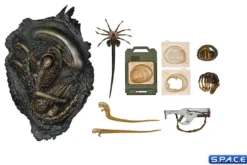 Ultimate Accessory Pack
