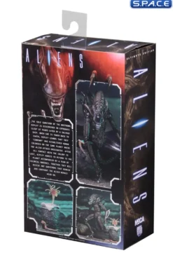 Ultimate Alien Warrior - brown Version
