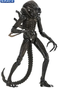 Ultimate Alien Warrior - brown Version