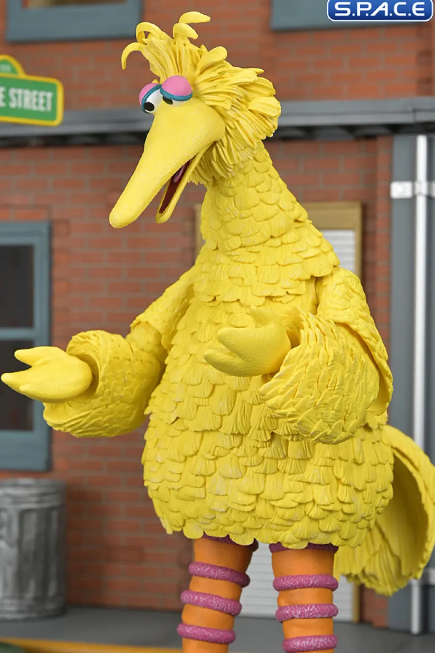 Ultimate Big Bird